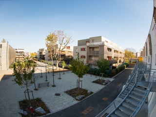 À Mulhouse, la végétation s’invite autour des nouvelles constructions.