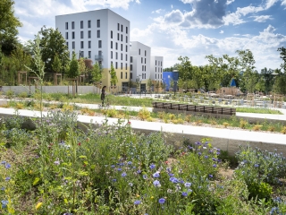 Vue du jardin des Belvédères, à Lyon La Duchère. C'est un nouveau parc au cœur du projet de renouvellement urbain.