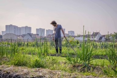 Timothé, stagiaire en maraîchage de la ferme permacole de Saint-Denis, Zone Sensible.