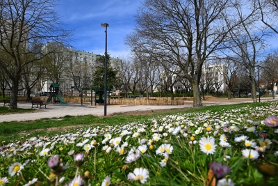 Agrandir l’image