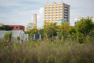 photo de la ferme zone sensible à saint-denis dans le 93